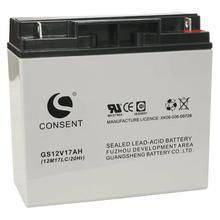 光盛CONSENT蓄电池GS12V100AH 12V100AH阀控密封式铅酸蓄电池
